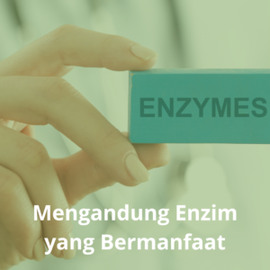 dr Papp mengandung enzim