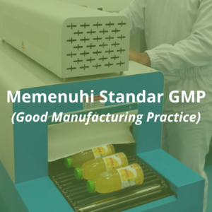 dr Papp memenuhi standar GMP